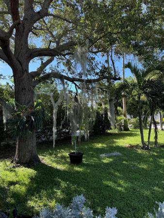 Lake Worth Heights, 1522 15th Ave, Lake Worth Beach, Florida 33460, image 1