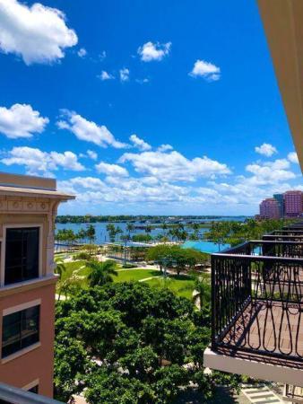 Waterfront Clematis, 101 N Clematis St #502, West Palm Beach, Florida 33401, image 1