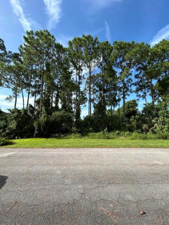 Rosser Reserve, 0000 Clambake Ave, Port St. Lucie, Florida 34953, image 2
