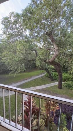 Spanish Oaks Of Boca, 610 NW 13th St #210, Boca Raton, Florida 33486, image 1