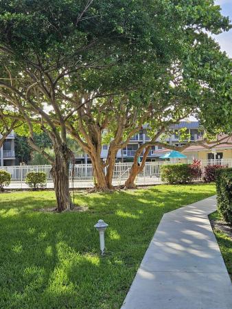 Paradise By The Sea, 300 Layne Blvd #204, Hallandale Beach, Florida 33009, image 1