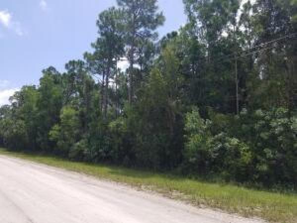 The Acreage, 82 82nd Ln N, Loxahatchee, Florida 33470, image 2