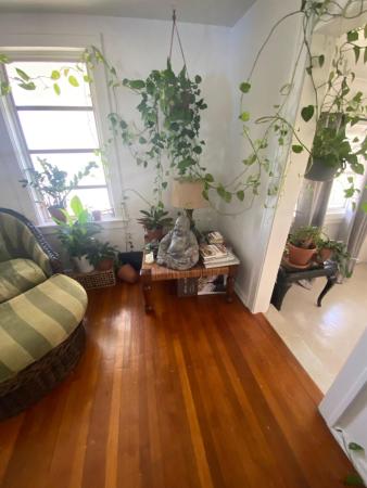 Rosedale, 3716 Morton Ave, West Palm Beach, Florida 33405, image 1