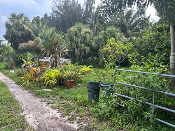Fleming Park, 4615 Evans Ln, West Palm Beach, Florida 33415, image 1