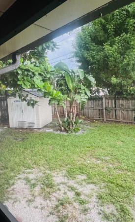 Greenland, 4599 Todd St, Lake Worth Beach, Florida 33463, image 1