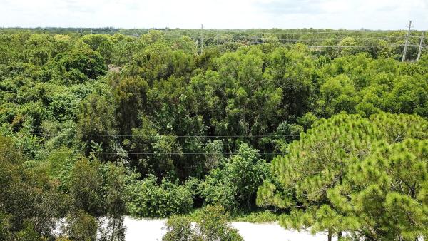 The Acreage, Xxx 88th Pl, Loxahatchee, Florida 33470, image 1