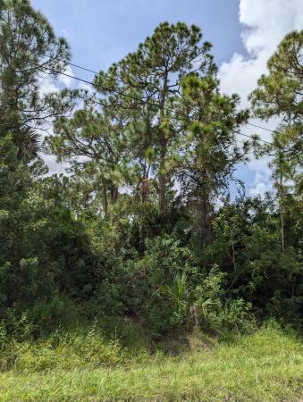 The Acreage, 16779 76th St N, Loxahatchee, Florida 33470, image 2
