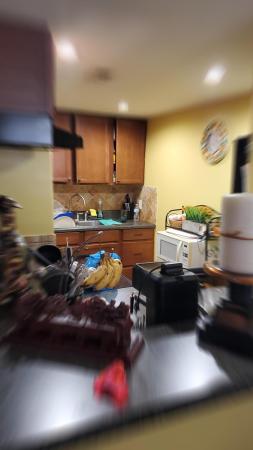 1821 Fairview Villas Dr #1, Palm Springs, Florida 33406, image 1