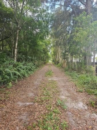 Loxahatchee Groves Residential, 3556 B Rd, Loxahatchee Groves, Florida 33470, image 1