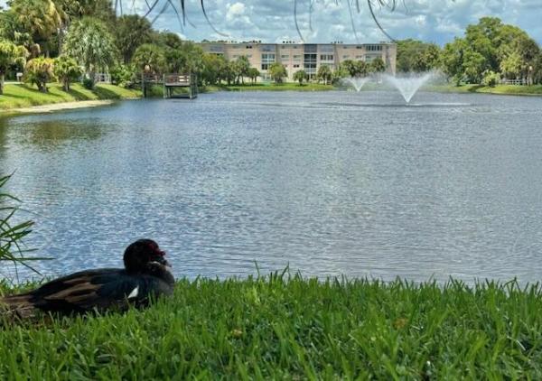 Lakeside Village, 719 Lori Dr #203, Palm Springs, Florida 33461, image 2