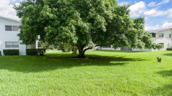 Bedford At Century Village, 70 Bedford C, West Palm Beach, Florida 33417, image 2