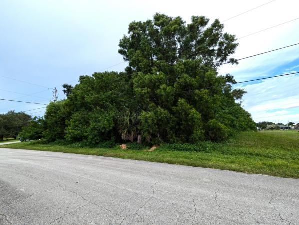 Paar Estates, 121 SW Hawthorne Cir, Port St. Lucie, Florida 34953, image 1