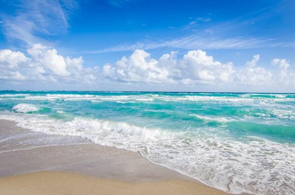 Jupiter Ocean Grande, 131 Ocean Grande Blvd #402, Jupiter, Florida 33477, image 2