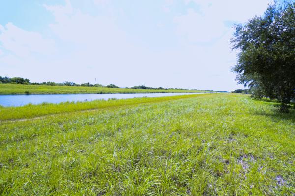Crane Landing, 343 SW Kestor Dr, Port St. Lucie, Florida 34953, image 2