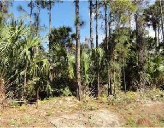 The Acreage, 75 75th Ln, West Palm Beach, Florida 33412, image 1