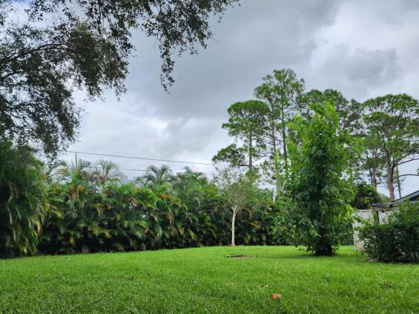 Loxahatchee Groves Residential, 365 Tangerine Dr, Loxahatchee Groves, Florida 33470, image 1