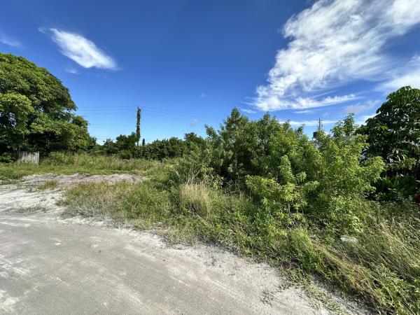 4561 Hairland Dr, West Palm Beach, Florida 33415, image 3
