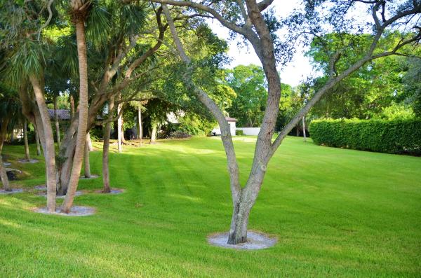 Park At Windwood, 3375 Jaywood Ter #2020, Boca Raton, Florida 33431, image 2