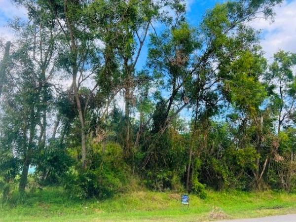 165 SW Amesbury Ave, Port St. Lucie, Florida 34953, image 2