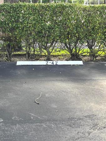 Huntington Lakes 1, Delray Beach, Florida 33446, image 1