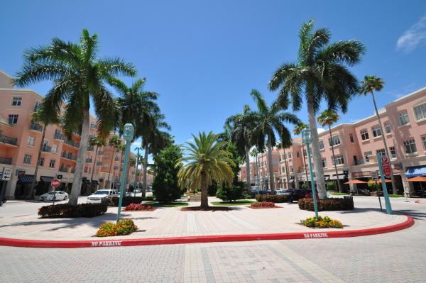 Villas Of Boca Delray, 5265 Fairway Woods Dr #3114, Delray Beach, Florida 33484, image 3
