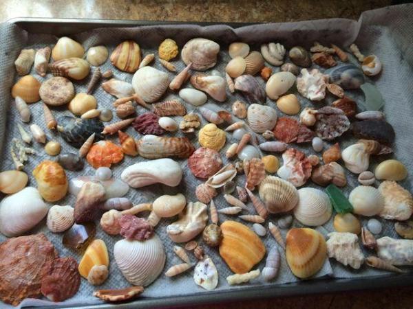 Sterling Village, 800 Horizons W #206, Boynton Beach, Florida 33435, image 1