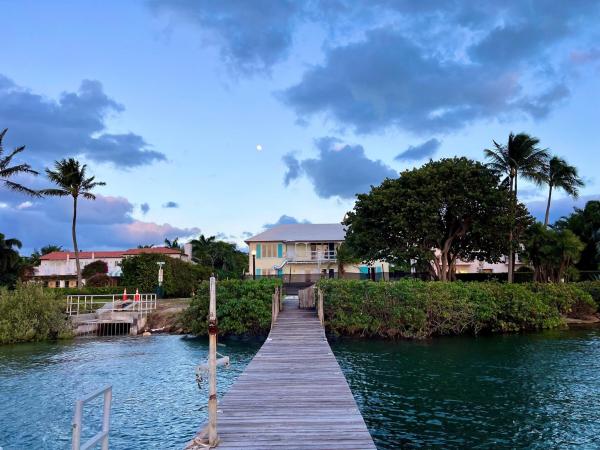 Alto Lido, 1246 N Lake Way, Palm Beach, Florida 33480, image 1