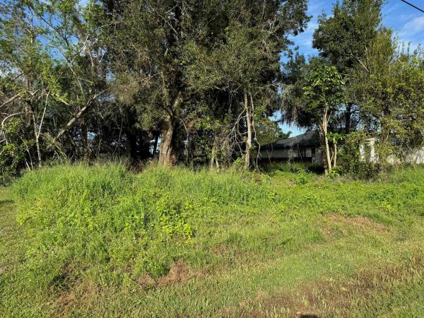 Tulip Park, 1025 SW Alcantarra Blvd, Port St. Lucie, Florida 34953, image 1