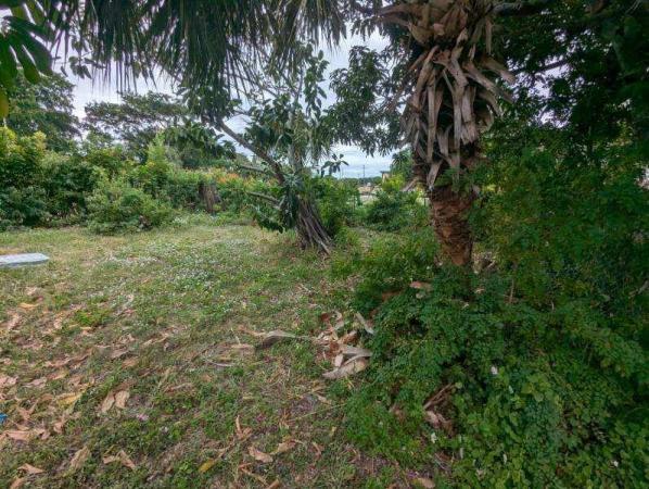 Monroe, 24 NW 7th Ave, Delray Beach, Florida 33444, image 1