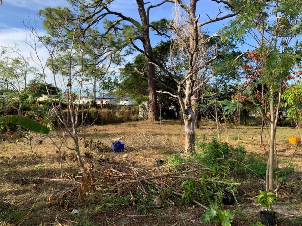 Rolling Green Ridge, 1611 NW 3rd Ln, Boynton Beach, Florida 33435, image 3