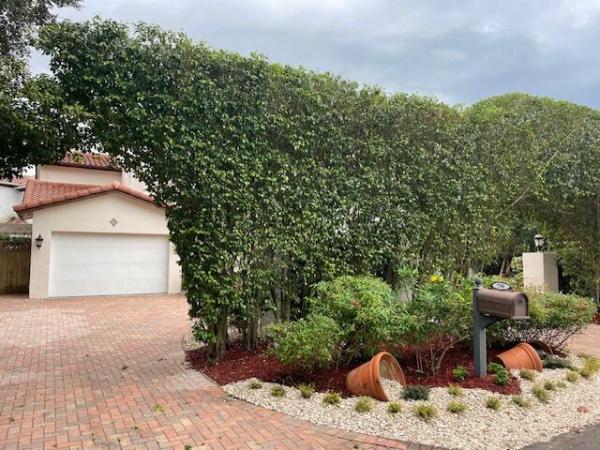 Tunison Palms, 798 NW 6th Dr, Boca Raton, Florida 33486, image 2