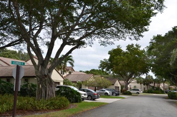Windwood, 441 Ashwood Pl, Boca Raton, Florida 33431, image 1