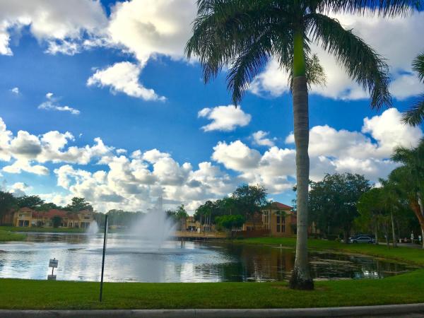 Palm Lake, 4871 Via Palm Lks #711, West Palm Beach, Florida 33417, image 3