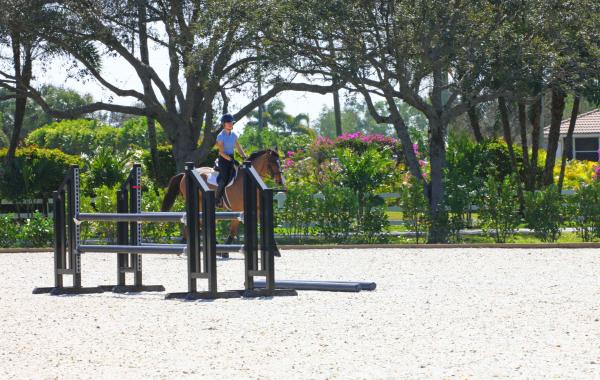 Palm Beach Point, 15293 Sunnyland Ln, Wellington, Florida 33414, image 2