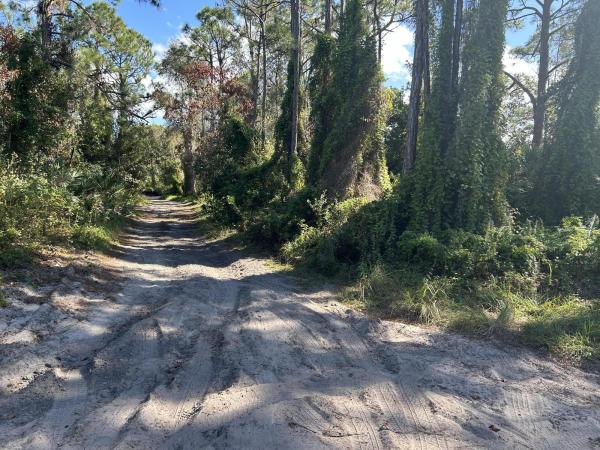 Fort Pierce Residential, 0 Slash Pine Trail, Fort Pierce, FL 34945, Fort Pierce, Florida 34945, image 2