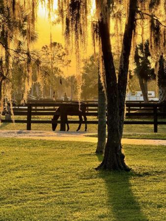 Deer Run, 2138 Palm Deer Dr, Loxahatchee, Florida 33470, image 1