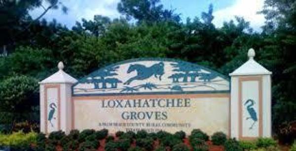 Loxahatchee Groves Residential, 13625 Farley Rd, Loxahatchee, Florida 33470, image 1