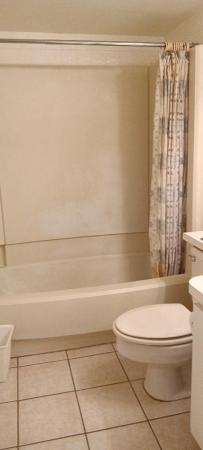 Camino Real Village, 5750 Camino Del Sol #406, Boca Raton, Florida 33433, image 2