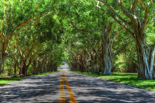 Ocean Trail, 200 Ocean Trail Way #305, Jupiter, Florida 33477, image 3