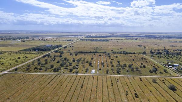 Fort Pierce No HOA, 2321 Sneed Rd, Fort Pierce, Florida 34945, image 1