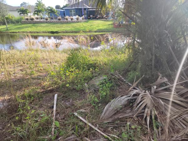 Oak Hammock, 1320 SW Granville Ave, Port St. Lucie, Florida 34953, image 1