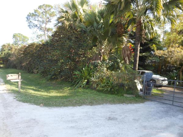The Acreage, 13654 N 63rd Ln, West Palm Beach, Florida 33412, image 1