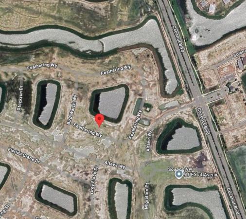 Apex At Avenir, 13020 Feathering Way, Palm Beach Gardens, Florida 33412, image 1