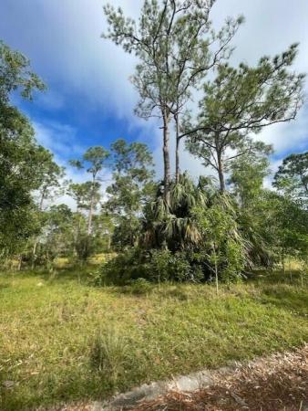 Pine Hollow, 10614 Lighter Wood Ln, Fort Pierce, Florida 34945, image 1