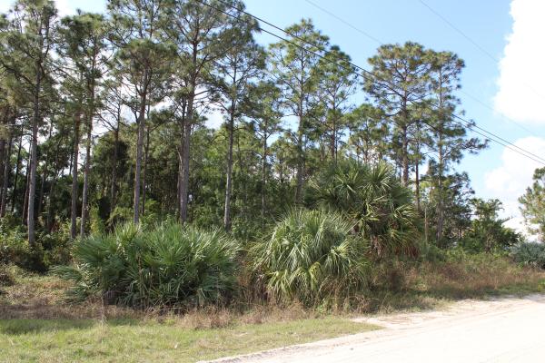 The Acreage, ''18264'' 94th St, Loxahatchee, Florida 33470, image 1