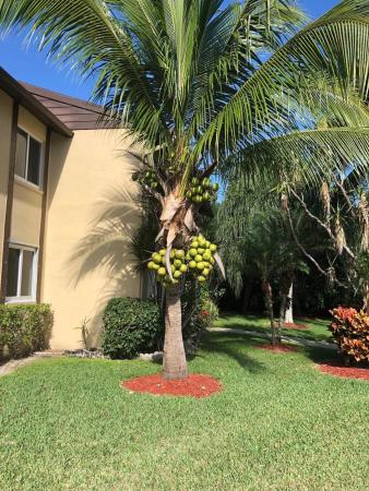 Pine Ridge 3, 329 Pine Ridge Cir #B-2, Greenacres, Florida 33463, image 1