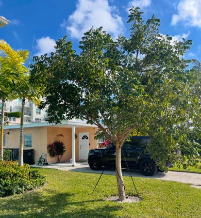 Downtown Delray, 233 SE 4th Ave, Delray Beach, Florida 33483, image 1