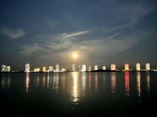 Shore Club, 111 Shore Ct #314, North Palm Beach, Florida 33408, image 1