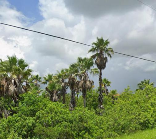 1425 S Header Canal Rd, Fort Pierce, Florida 34945, image 3