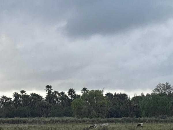 1425 S Header Canal Rd, Fort Pierce, Florida 34945, image 2